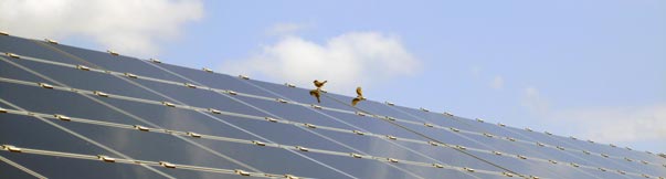 Software de monitorización de plantas fotovoltaicas